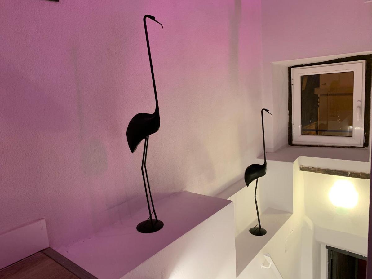 Casita del Flamingo en Casco Histórico Vila Alicante Exterior foto